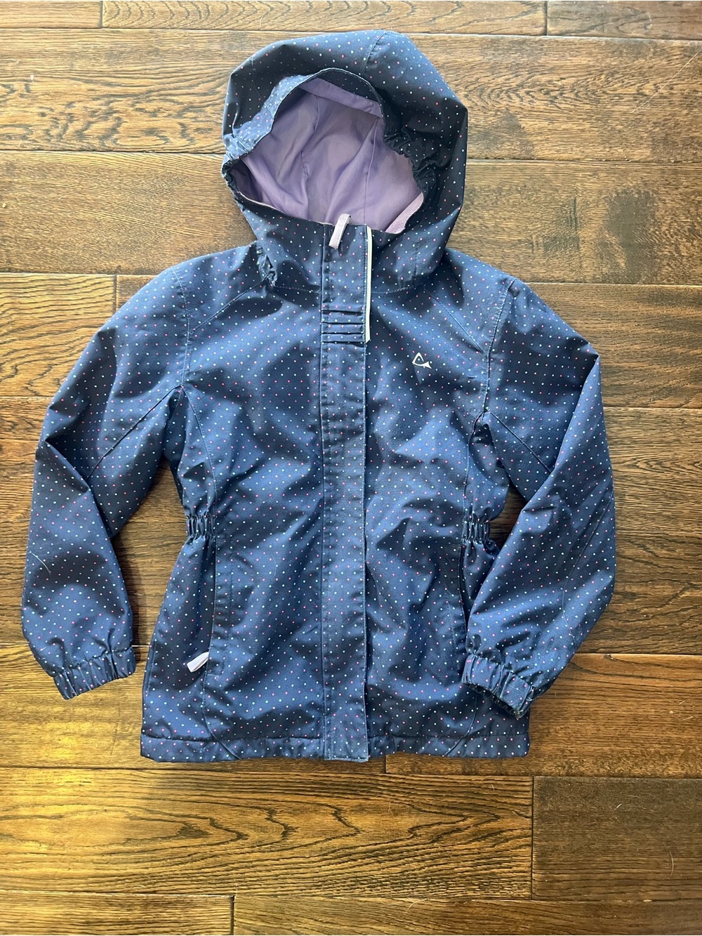 Paradox Navy Polka Dot Hooded fall coat with Lilac Lining